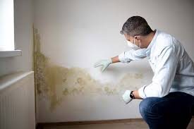 Best Airborne Mold Testing  in Milford, UT